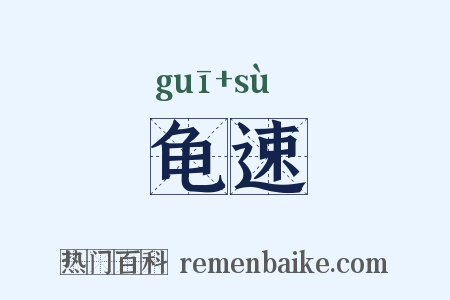 龟速是什么意思的图片